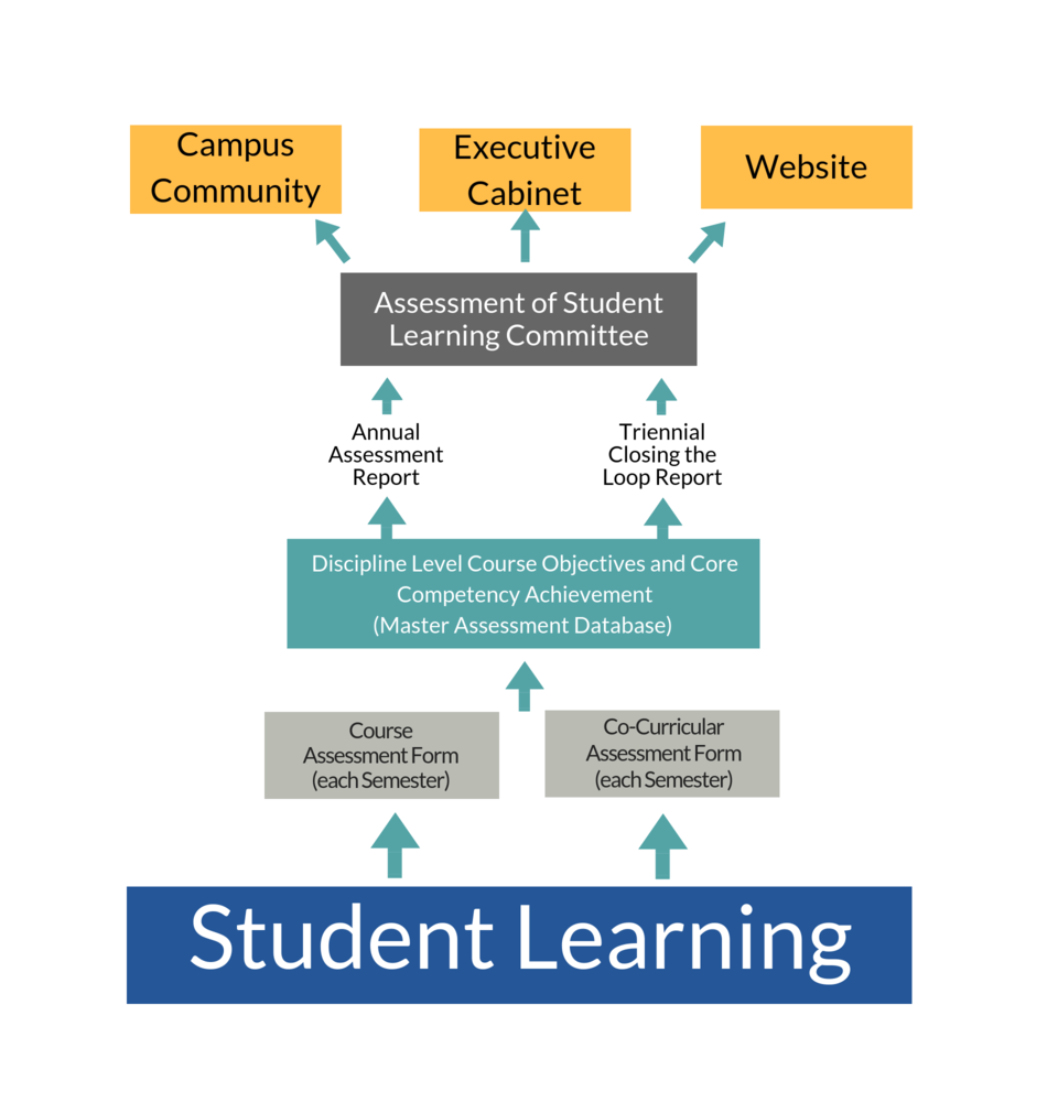 The assessment data flow chart shows student learning leads to a course assessment form (each semester) and the co-curricular assessment form (each semester), these forms lead to the discipline level course objectives and core competency achievement (master assessment database) which leads to the annual assessment report and the triennial closing the loop report, these both lead to the assessment of student learning committee, which leads to the campus community, executive cabinet, and the website. These three things are the end of the process.