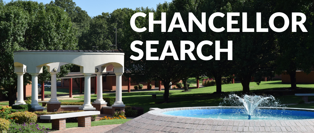 Chancellor Search webpage image.png