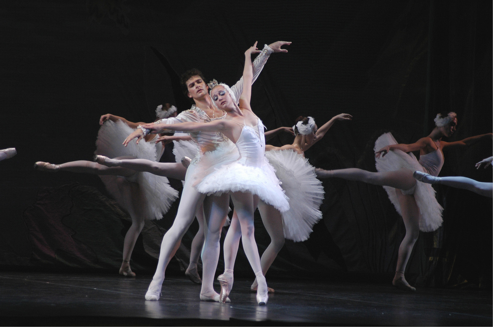 swan lake-11.jpg